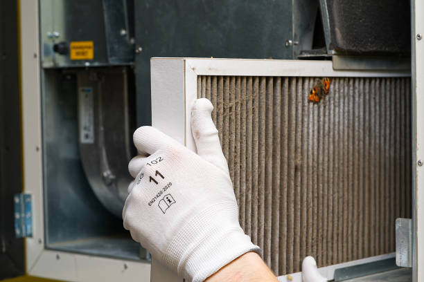 Air Duct Mold Removal in Quinebaug, CT